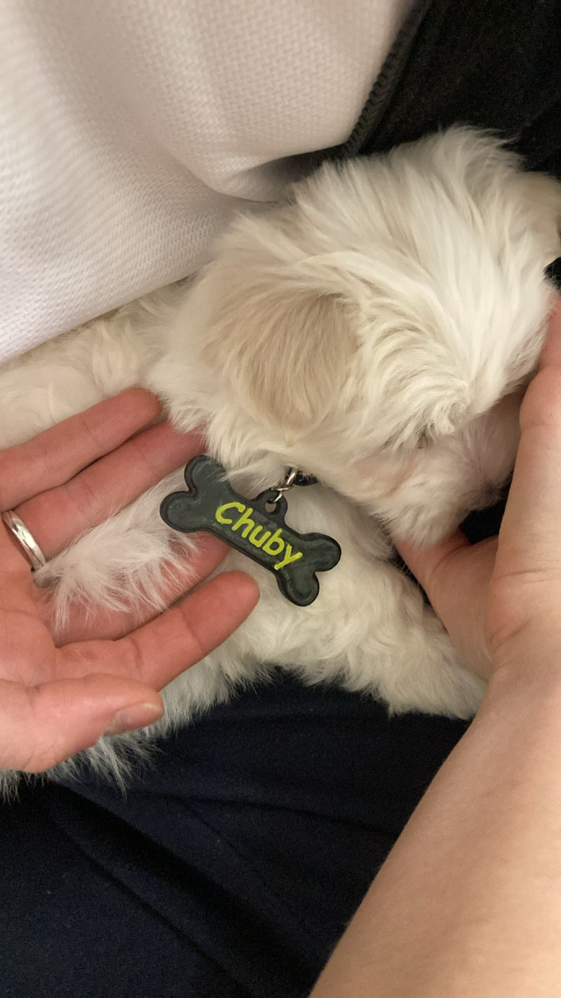 Custom 3D-Printed Pet ID Tag – Bone-Shaped with Name & Emergency Info