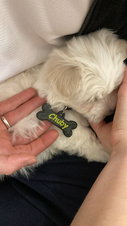 Custom 3D-Printed Pet ID Tag – Bone-Shaped with Name & Emergency Info
